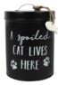Cat Tin 1